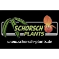 Schorsch Plants Ober-Ramstadt
