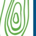 Logo Schreiner