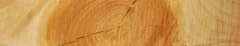 Logo Schreinerei Rauscher