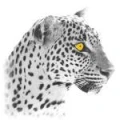 Logo Schreyer Ilona