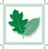 Logo Schrock Martin Garten- u. Landschaftsbau GmbH