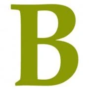 Logo Schule Birklehof e.V.
