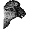 Logo Schwarzes Schaf