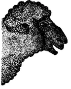 Logo Schwarzes Schaf