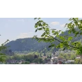Schwarzw&auml;lder Hausverwaltung Calw