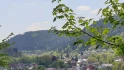 Logo Schwarzwälder Hausverwaltung