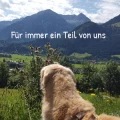 Schwarzwald-Tierklinik Neubulach
