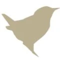 Logo Schwering Bernd