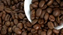 Logo SCW Service-Center-Weber Jura Kaffeeautomaten