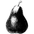 Logo Reimold, Sebastian