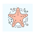 Seestern Ostsee Ferienhaus Sch&ouml;nwalde