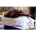 SEGENIUS GmbH Leipzig
