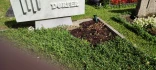 Logo Seidenblumen Kiste Grabpflege, Inh.Sabine Stich