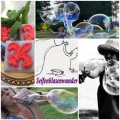 Seifenblasenwunder.com