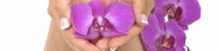 Logo Selinas Naildesign Inh. Selina Denham