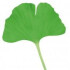 Logo SeniVita Oberbayern GmbH, Haus St. Nikolaus Pflegeeinrichtung