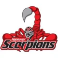 Logo SERC Wild Wings Vermarktungs- und Betriebs GmbH