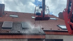 SFD PRO Walldorf