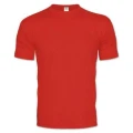 Logo ShirtPainter.com