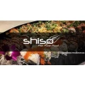 Logo Shiso Frankfurt - Pan Asian Food
