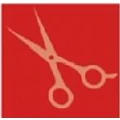 Logo Savu, Sibylle