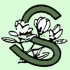 Logo Siefken Baumschule