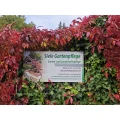 Siele Gartenpflege Lampertheim
