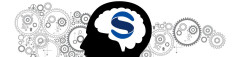Logo Signium International GmbH Gert Schmidt
