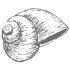 Logo Silke Otto von Blumen