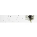 Logo Wewetzer, Silke