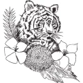 Silver Tiger Spa Cologne K&ouml;ln