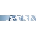 Logo Engel, Simon