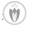Logo Psychotherapeutische Praxisgemeinschaft, Simone Burbach Inge Eisenbach Christiane Fuchs