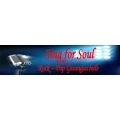 Logo Sing for Soul Gesangsschule Nicole Wolfmaier