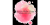 Logo Sissi´s Hair