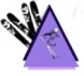 Logo Ski-Sport-Waida Josef Waida