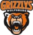 Logo Skoda Centrum Wolfsburg