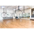 Slow Motion Aerial Hoop