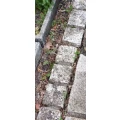 Smykalla Etzrodt Gartenbau Kaltenkirchen