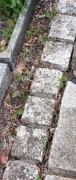 Smykalla Etzrodt Gartenbau Kaltenkirchen