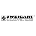 Logo smyrnafix Georgii OHG