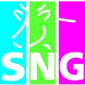 SNG Immobilien- und Versicherungsmakler GmbH Lommatzsch