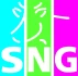 Logo SNG Immobilien-und Versicherungsmakler GmbH