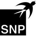 Logo SNP Schneider-Neureither & Partner AG