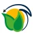 Logo SolarCor GmbH
