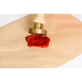 Logo Solloch, Meyer, Fust u. Nies
