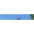Logo Tierpension Bracht