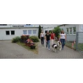 Logo Sonja Br&uuml;ser Hundeschule