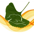 Sonja Henn Praxis f&uuml;r Naturheilkunde - Craniosacrale Osteopathie &middot; Cluster Medizin &middot; Wirbels&auml;ulentherapie nach Dorn Schl&uuml;chtern