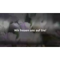Sonnenblume  Roswitha Erlinger Langenbach